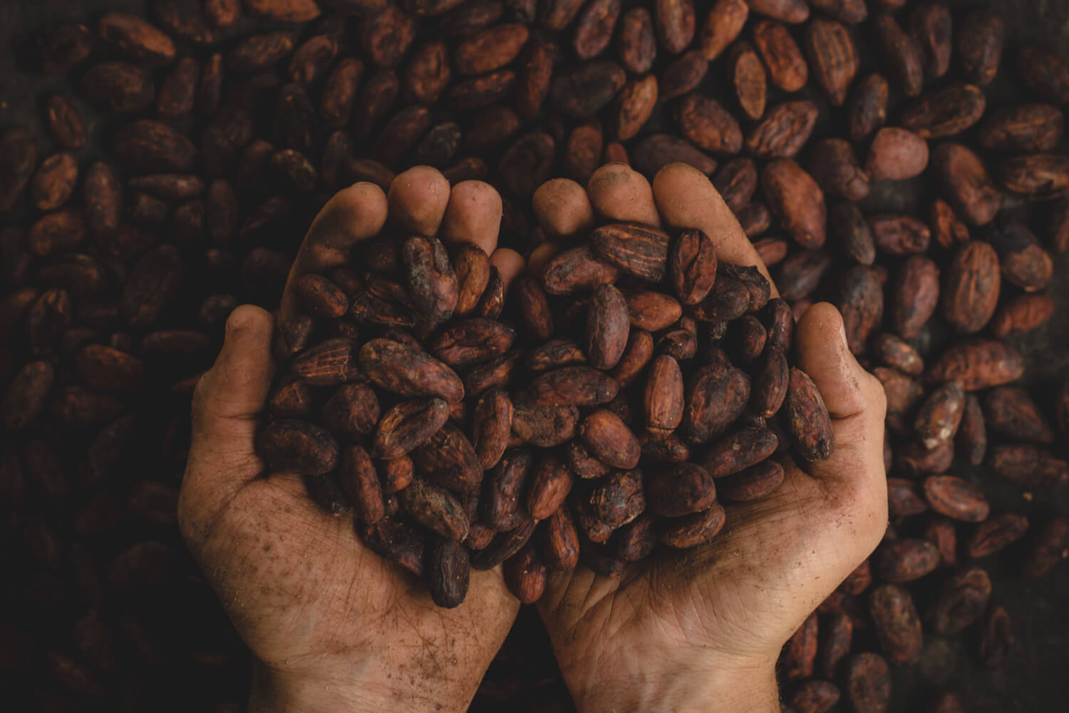 Vicious Cacao - MAISON TAHITÉ – OFFICINE CREATIVE PROFUMI