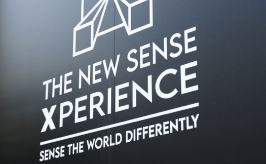 The New Sense Experience